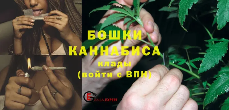 сколько стоит  дарк нет клад  Бошки марихуана Bruce Banner  Шумерля 